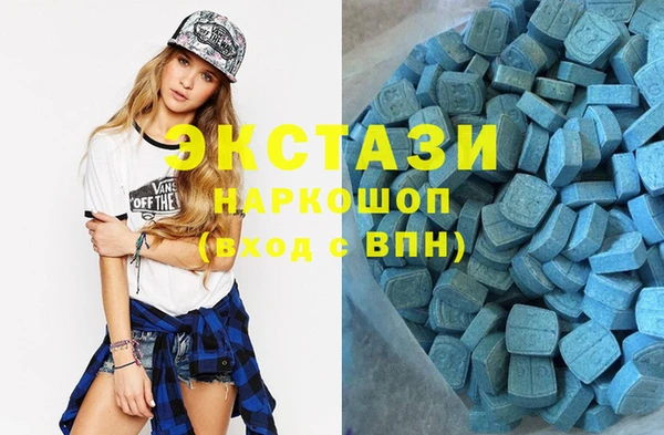 стаф Новодвинск