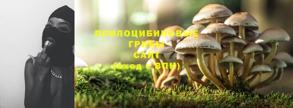стаф Новодвинск