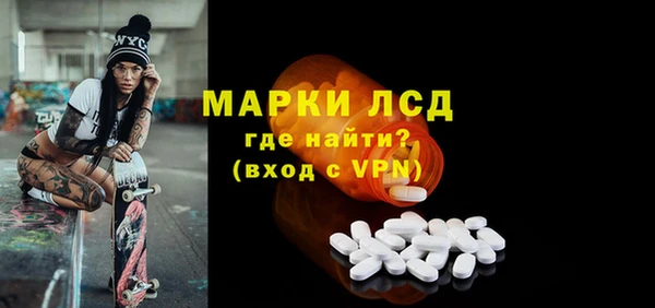 стаф Новодвинск