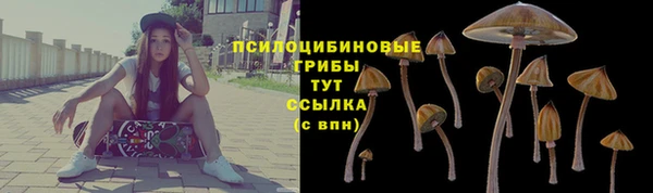 герыч Новозыбков