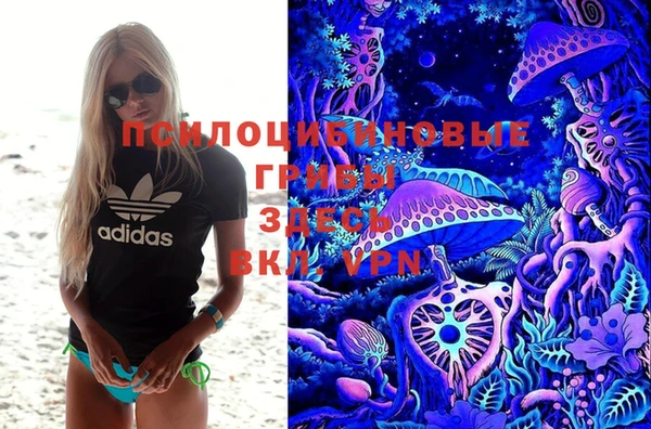 прущий лед Нея