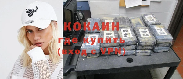 стаф Новодвинск