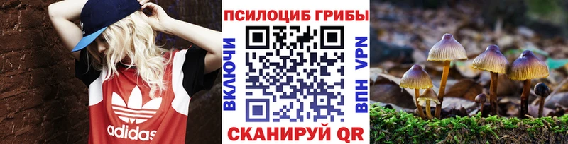 купить закладку  Сыктывкар  Псилоцибиновые грибы ЛСД 