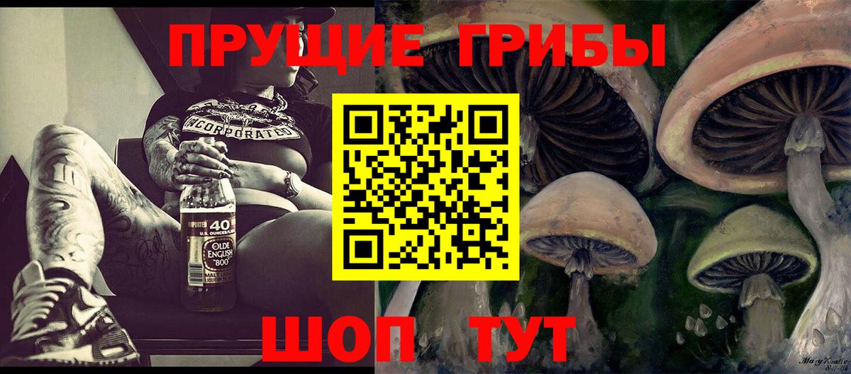 Галлюциногенные грибы Psilocybe Сыктывкар