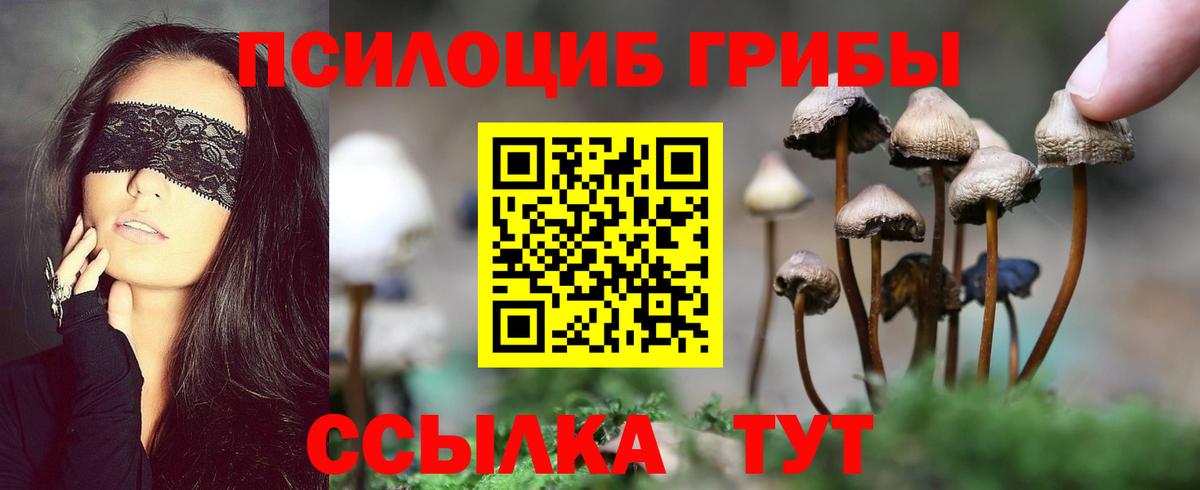 Псилоцибиновые грибы GOLDEN TEACHER  Сыктывкар  Галлюциногенные грибы прущие грибы 